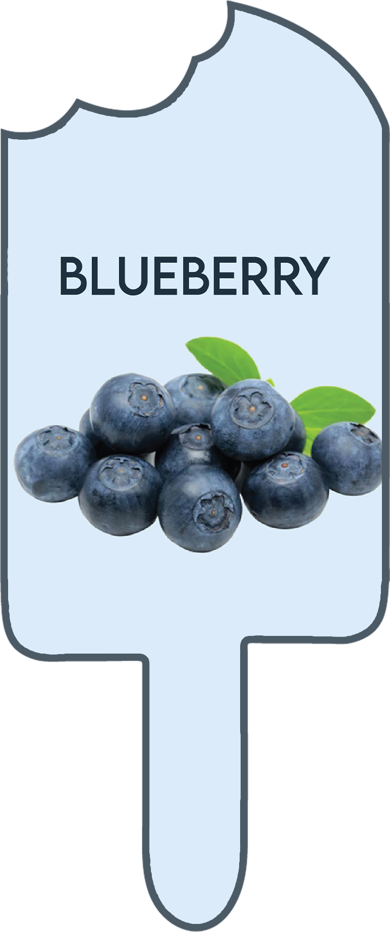lilpops-the-best-and-testety-ice-in-kannur